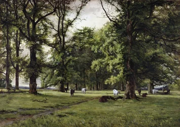 Der Ulmenweg